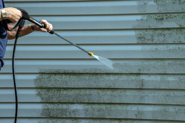 Best Patio and Deck Pressure Washing  in Montour Falls, NY