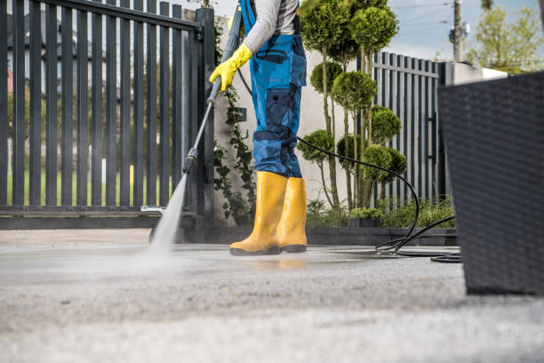 Best Driveway Pressure Washing  in Montour Falls, NY
