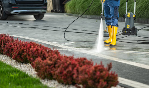 Best Building Exterior Washing  in Montour Falls, NY